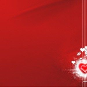 Meet your Posher, Rose